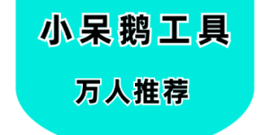 小呆鹅工具-让你重新定义“混剪”